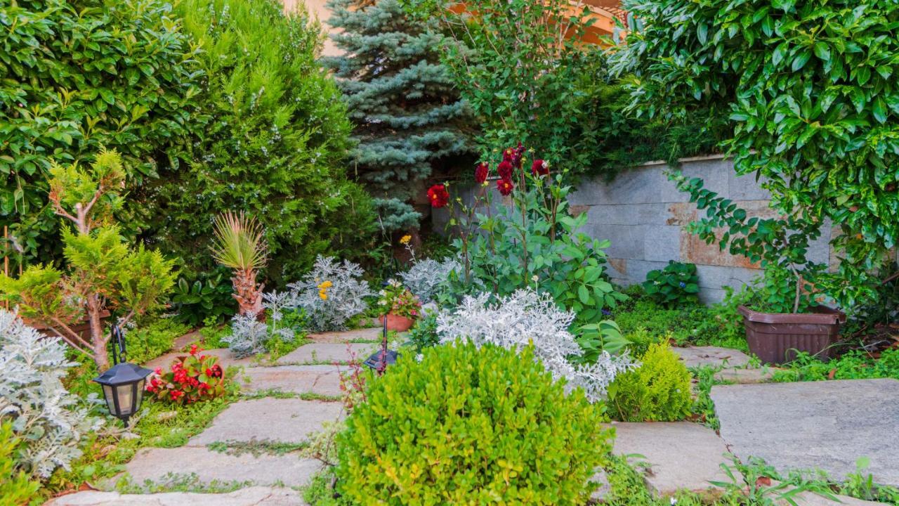 Vila Vista Вила Виста سفيتي فلاس المظهر الخارجي الصورة